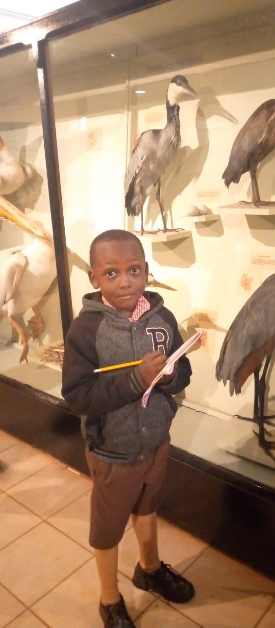 Children activities